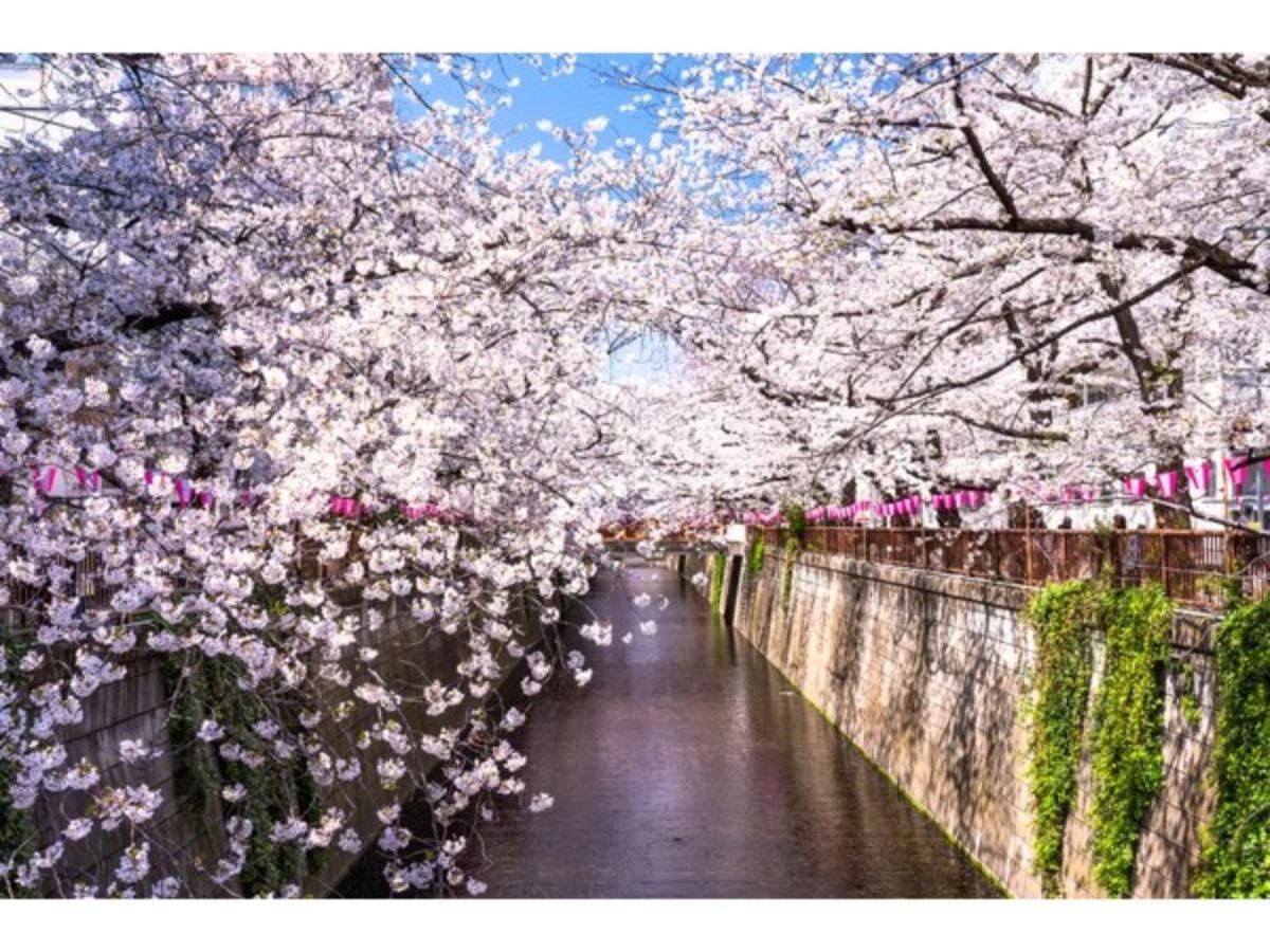 Act Hotel Shibuya - Vacation Stay 84228 Токио Экстерьер фото